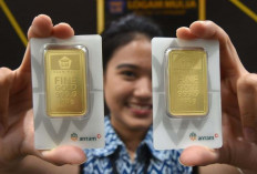Ketika Dunia Guncang, Emas Justru Bersinar Ternyata Ini Alasannya