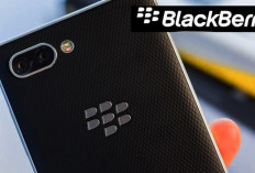 Blackberry Android Zinwa Q25 Ternyata ini Spesifikasi dan Harga yang Ditawarkan Kepada Gen-Z