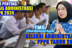 PPPK 2024 Tahap 2 Wajib Pahami Lolos Seleksi Administrasi, Tips Agar Tidak TMS  