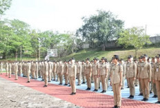 Catat! 16 Sekolah Kedinasan Ini Menjamin Lulusannya Jadi PNS, Wajib Kamu Tahu!