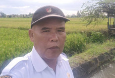 Ajak Petani di Tugumulyo Musi Rawas Tanam Padi Serentak. Mei Ditargetkan di Lahan Seluas 625 hektar