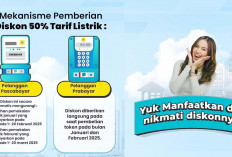 Ini Dia Batas Maksimal Pembelian Token dan Cara Mendapatkan Diskon Tarif Listrik 50 Persen