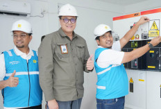 Semarak Kemerdekaan! PLN UP3 Jambi Energize Electrifying Agriculture 1.730 kVA untuk PT Agro Bumi Sumatera