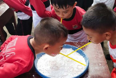 HUT RI ke-50 Momen SDN 44 Lubuk Linggau Memupuk Semangat Nasionalisme Anak Bangsa