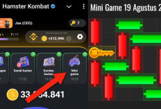 Update Terbaru Kunci Mini Game Hamster Kombat Hari Ini 19 Agustus 2024, Ikuti Polanya Dalam Waktu 30 Detik