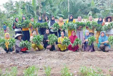 Perawan dan Tampan di Musi Banyuasin Ajak Warga Mandiri Pangan