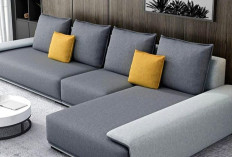 5 Jenis Sofa Ini Paling Keren Jadi Interior Rumah Minimalis, Terkesan Jadi Lebih Elegan