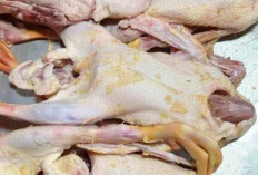 Bebek Potong Jadi Pilihan Menu Lezat Saat Idul Adha