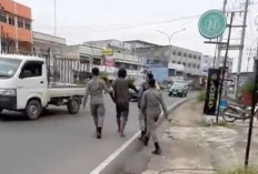 ODGJ di Lubuk Linggau Sering Ngamuk Resahkan Warga Diamankan Anggota Sat PolPP