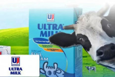 Pencari Kerja Wajib Merapat! Lowongan Kerja Mei 2024 PT Ultrajaya Milk Industry dan Trading Company Tbk