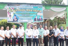 Dinas Ketahanan Pangan Gelar GPM Stabilkan Harga dan Bantu Masyarakat 