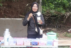 Es Teler Kuah Cream Milna Lubuk Linggau Sajian Segar Bikin Kenyang 