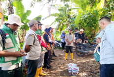 Antisipasi Hama Tikus, Sebelum Musim Tanam Petani di Musi Rawas Sudah Lakukan Gerdal 