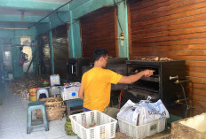 Ubi Cilembu Panggang Madu Hadirkan Manis Alami Menggoda Selera