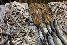Perbedaan Harga Ikan Asin Rebus di Dua Pasar, Minat Beli Tetap Stabil