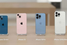 Harga iPhone 13 Terjun Bebas di Akhir tahun