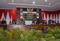 Hari Jadi Kabupaten Muratara ke-13, Bupati Devi Suhartoni : Anggaran Fokus untuk Pendidikan dan Kesehatan