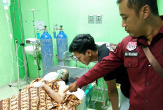 Istri di Lubuk Linggau jadi Korban KDRT, Begini Kondisinya 