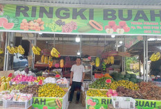 Ringki Buah, Surganya Buah Segar di Lubuk Linggau 