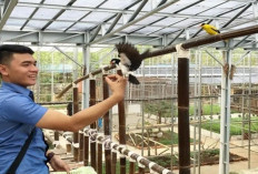 Serunya Weekend ke Bird Park, Wisata Edukasi di Sumatera Selatan