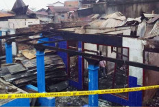 Sengaja Bakar Rumah, 10 Rumah dan Gudang Ludes Hingga 1 Petugas Jadi Korban