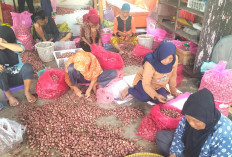 Ibu-Ibu Pengupas Bawang Tetap Semangat Cari Tambahan Penghasilan