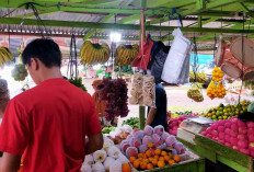 Sultan Buah Lubuk Linggau, Layani Parcel Custom Delivery