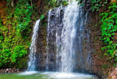 Pesona Air Terjun Curug Sando: Sensasi Mandi di Tengah Alam Lubuk Linggau