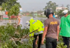 Saat Patroli Temukan Pohon Tumbang, Ini yang Dilakukan Personil Polres Musi Rawas 