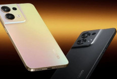 Harga HP OPPO Terbaru 2025 Mulai 1 Jutaan, Ini Spesifikasi5 HP OPPO