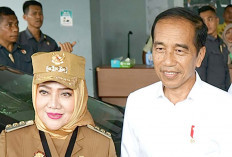 Presiden Jokowi Segera Turunkan Tim Kementerian PU Cek RSUD dr Sobirin 