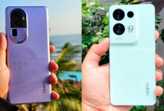 Duel Saudara OPPO Reno10 Vs OPPO Reno 10 Pro, Manakah yang Lebih Unggul? Ini 7 Perbandinganya