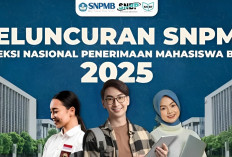 Kurikulum Nasional Jadi Syarat Utama SNBP dan SNBT 2025