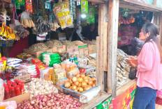 Harga Ikan Asin Stabil, Bulu Ayam dan Pedo Paling Laris 