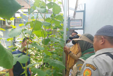 Perkuat Program Ketahanan Pangan, Lapas Narkotika Kelas IIA Muara Beliti Terima Kunjungan BPPSDMP