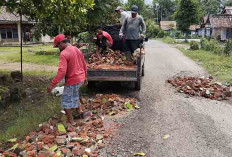 Semangat Kebersamaan Warga Desa Marsiharjo, Gotong Royong Tambal Jalan Rusak Parah