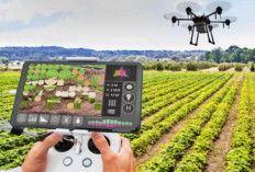 Bertani Menjadi Mudah, Ini Dia 4 Terobosan Inovasi Teknologi Pertanian Terbaru 