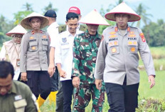 Polres Musi Rawas Akan Dampingi Petani Agar Produktifitas Jagung Meningkat