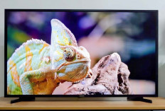 Samsung T6500 Smart TV Full HD Desain Ramping dan Modern  