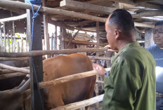BAZNAS Musi Rawas Data Pegawai dan Masyarakat yang Ikut Program Sedekah Daging 