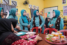 Posyandu Sayang Anak Desa Toman Wakili Muba di Penilaian Tingkat Provinsi Sumsel