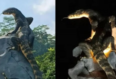 Patung Biawak di Wonosobo Viral, Realistis Hanya Bermodal Rp 50 Juta, dan Jadi Ikon Baru