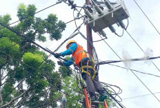 Jangan Berteduh di Bawah Kabel ! PLN UP3 Lubuk Linggau Sampaikan Panduan Keselamatan dari Arus Listrik 