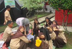 Green House SDN 58 Lubuk Linggau: Edukasi Lingkungan Sejak Dini