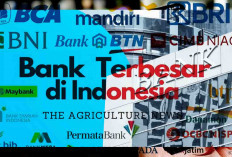 Bank Terbesar di Indonesia, Aset terbesar Capai 2 Ribuan Triliun  