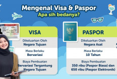 Apa itu Visa dan Paspor? Berikut Perbedaan, Pengertian Serta Kegunaannya 