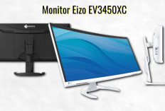 Eizo EV3450XC, Monitor dengan Layar Lega dan Fitur Komplet Cocok untuk Desainer 