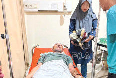 Koodinator Pengamanan Pasar di Lubuk Linggau Dibacok Hingga Kritis, Pelaku Sudah Diamankan Polisi