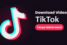 SnapTik MP3: Solusi Praktis Dapetin Audio TikTok Buat Konten Aesthetic