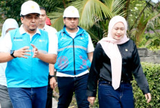 PLN dan DPR RI Tinjau Progres Listrik Desa Pulau Semambu, 4,63 Km Jaringan Rampung Jangkau Lima Dusun 